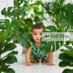 Potted-Plant-Jungle